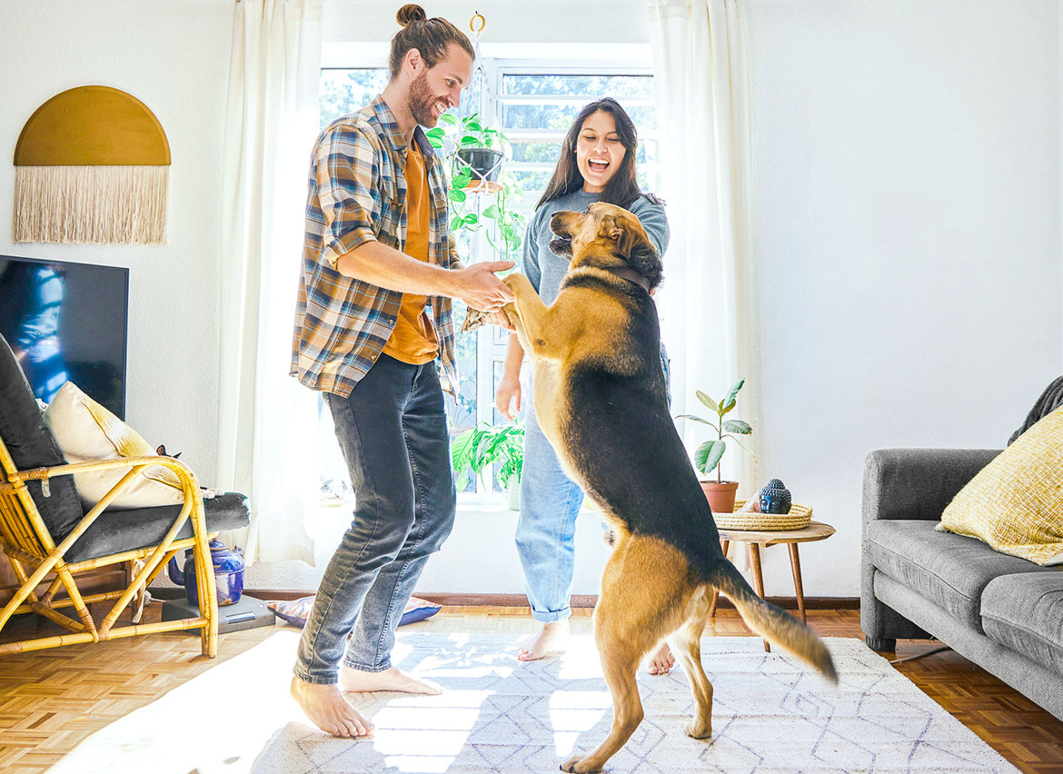 Rate & Term Refinance